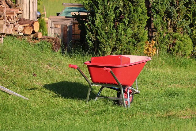 Najatrakcyjniejsze propozycje wakacyjnych wyjazdów - odwiedź naszą witrynę!